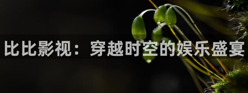 秋霞手机电影网在线观看