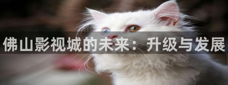 97秋霞电影网