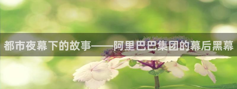 秋霞电影网新